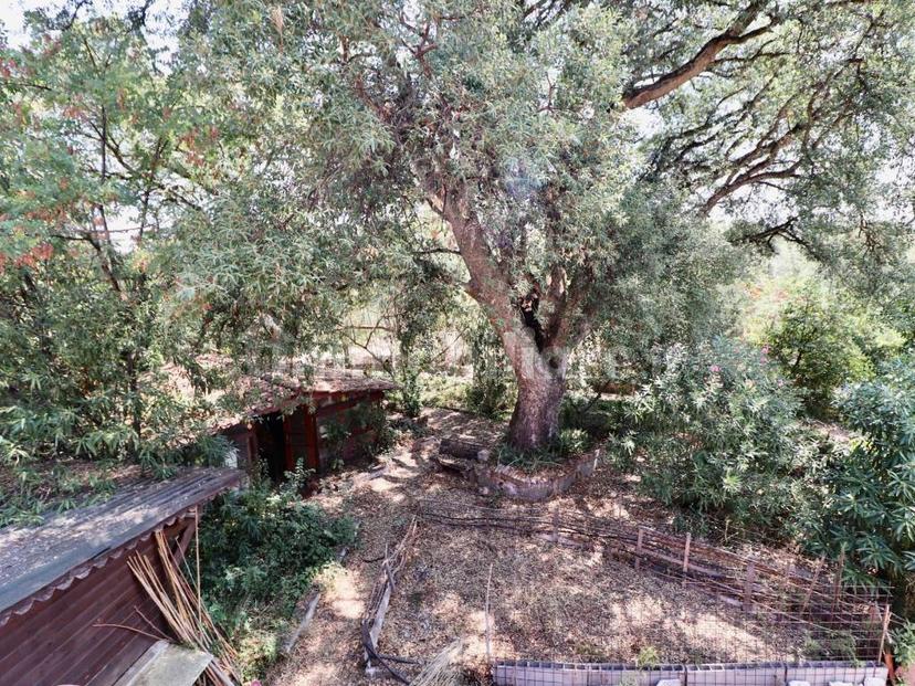 Villa unifamiliare via del Casale della Caccia 97, Trigoria, Roma