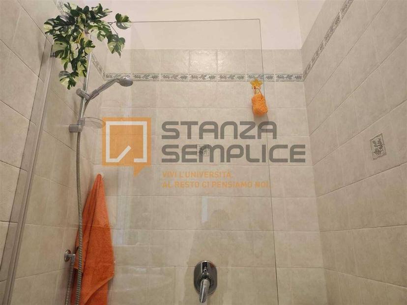 Stanza in affitto in appartamento dei Mille 11/2 ,, Bologna