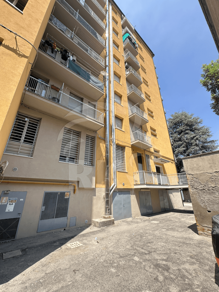 Affitto appartamento Piazzetta Carlo Musi 2 Bologna (BO)
