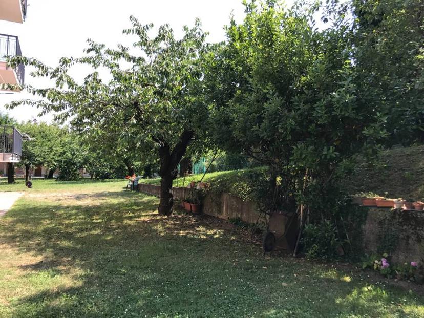 Vendita appartamento Via Circonvallazione Pecetto Torinese (TO)