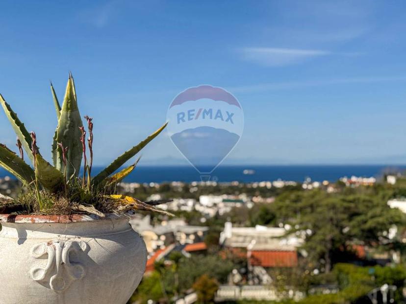 Vendita villa singola via montetignuso Ischia (NA)