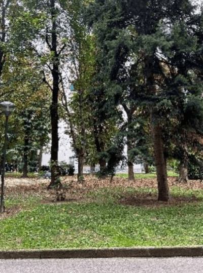 Vendita appartamento Largo Brasilia Milano (MI)